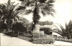 CPA Beaulieu Sur Mer Le Jardin Public