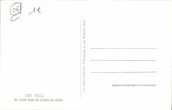 CPM Beuil La Route Des Gorges Du Cians