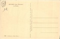 VINTAGE POSTCARD Antibes the Pine forest