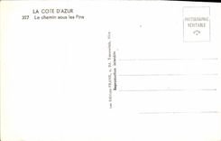 VINTAGE POSTCARD the Way Under the Pines