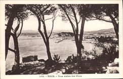 Niza de la POSTAL de la VENDIMIA vista entre los pinos