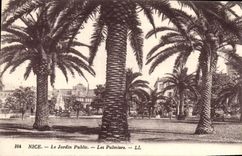 VINTAGE POSTCARD Nice the Phblic Garden Palm trees