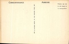 VINTAGE POSTCARD Nice the Phblic Garden Palm trees