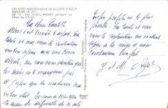 CPM Menton Les Jardins Bloves Pendant la fete du citron