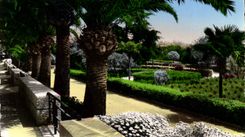 MODERN CARD Villefranche On Sea the Walk the Public garden and exotic vegetation