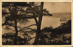 POSTAL de la VENDIMIA Niza la bahía de los ángeles a través de los pinos del castillo