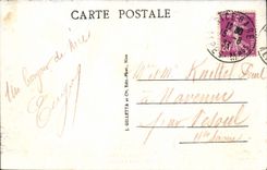 CPA Nice Palmiers Du Chateau