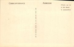 Pendiente de Corcassonne de la POSTAL de la VENDIMIA de la hendidura de desagüe