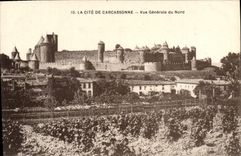 CPA La Cite De Carcassonne Vue Generale Du Nord