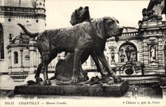 CPA Chateau De Chantilly Musee Conde Chiens