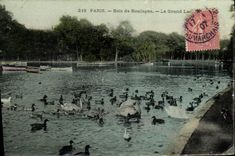 VINTAGE POSTCARD Paris Bois de Boulogne the Big lake