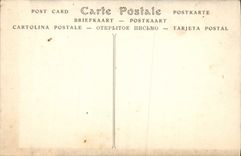 Castillo de la POSTAL de la VENDIMIA de Pau la tapicería que cultiva un huerto