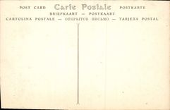 Castillo de la POSTAL de la VENDIMIA de la pesca de Pau y de la tapicería que cultiva un huerto