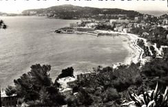 CPM Beaulieu Sur Mer Le Port Le Cap Ferrat