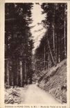 VINTAGE POSTCARD Environs De Peira Undermined Road De Turini And the Drill