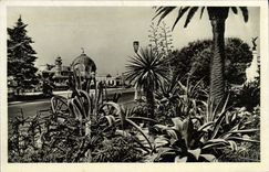 CPA Nice Promenade Des Anglais