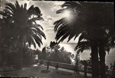 CPA Cote D'Azur Coucher de soleil