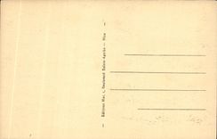 El país graso de la POSTAL de la VENDIMIA de los perfumes se escapó en la ciudad