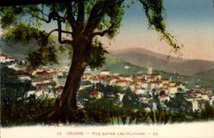 La vista de Grasse de la POSTAL de la VENDIMIA entra en los Aceituna-árboles