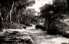CPM Cote Azur Promenade Sous Les Pins