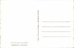 VINTAGE POSTCARD Pines Parasois De I' Esterel