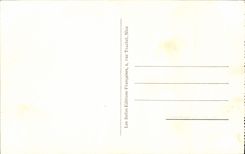 CPA Beaulieu Vue Entre Les Oliviers