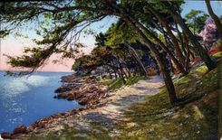 CPA Menton Cap Martin Promenade au bord de la mer