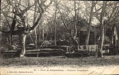 VINTAGE POSTCARD Palate De Fontainebleau Sanguinede Fountain
