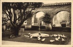 CPA Saint Paul La Colombe D'Or