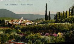 CPA Saint Paul Plantation D'Orangers