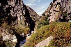 CPM Les gorges du Loup Couleurs d'automne 