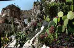 MODERN CARD Old stones and exotic garden