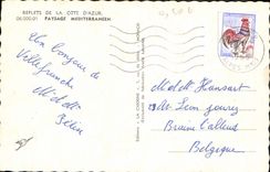 CPM Paysage mediterraneen