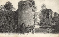 VINTAGE POSTCARD Layered branches the tower with the machines