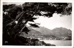 CPM Menton Le Massif des Alpes