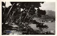 VINTAGE POSTCARD Menton Under wood of the Cape Martin