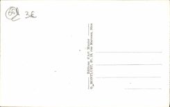 CPA Menton Sous bois du Cap Martin