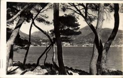 VINTAGE POSTCARD Cape Martin Seen of Menton between the pines
