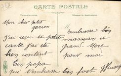 CPA Versailles Statue de Louis XIV