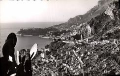 CPM Roquebrune Cap Martin Vue generale Au fond Monte Carlo et le rocher de Monaco
