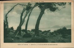 CPA Soir a l'Ile Saint Marguerite