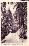 CPA Peira Cava Foret de la Mairis en hiver