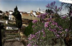 MODERN CARD Levens in spring