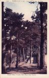 VINTAGE POSTCARD Peira Undermined Large Hotel Truchi Its park its tennis