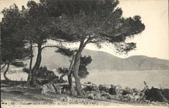 CPA Vue sur Menton Prise du Cap Martin