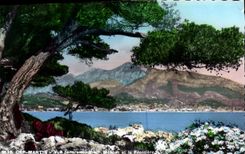 CPM Cap Martin Vue panoramique sur Menton et la frontiere