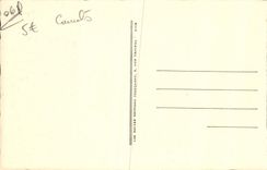 CPA Menton Vue sur le Cap Martin et l'Italie