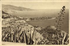 CPA Le Cap Martin vu du rond point de la Turbie 