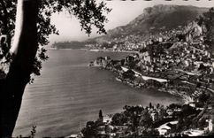 CPM Monte Carlo Vue de Roquebrune 