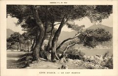 POSTAL Roquebrune de la VENDIMIA el cabo Martin